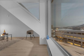 Top apartment in the city